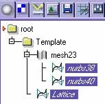 Selection for 'Lattice Mapping'